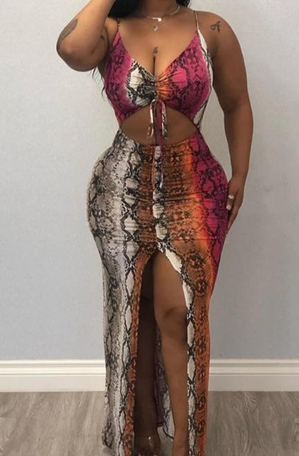 Snake Print Long Multi-color Dress